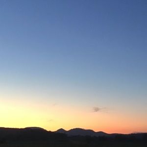 Meet your Posher, Tyla